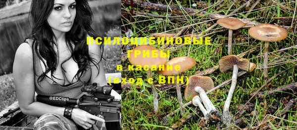 мескалин Абинск